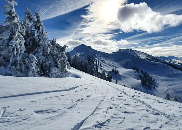 Haus Schartner Flachau